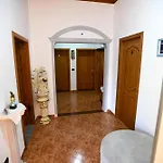 فيلة Aurel